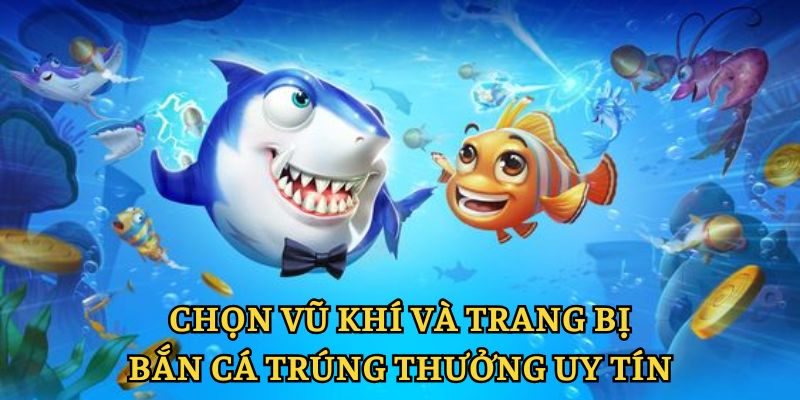 Quy định về vũ khí và trang bị